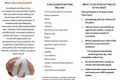 Concussion pamphlet part 2