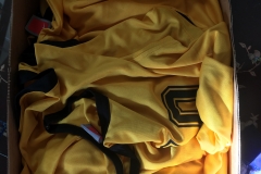 HeatherRoy donation2