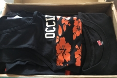 Occidentalseconddoantion2