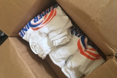 PepperdineUniversity--Sylvia2