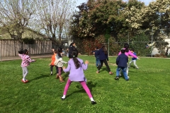 Shevaliteaching15